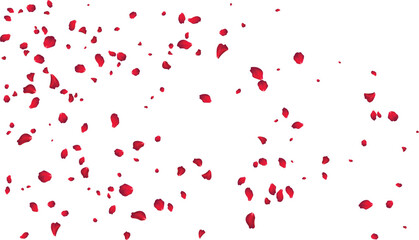 Flowing red rose petal stream background for engagement party