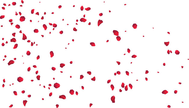 Flowing red rose petal stream background for engagement party