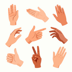 Obraz premium [Vector EPS]Various hand gestures showing different signs and positions