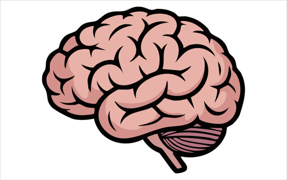 Human brain silhouette, icon brain Simple view of head, human brain vector illustration in flat style