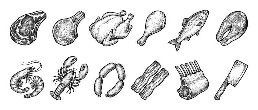 Set of raw meat seafood and poultry including steak, chicken, fish, lobster, and sausage in a detailed vintage black and white hand-drawn engraving style illustration