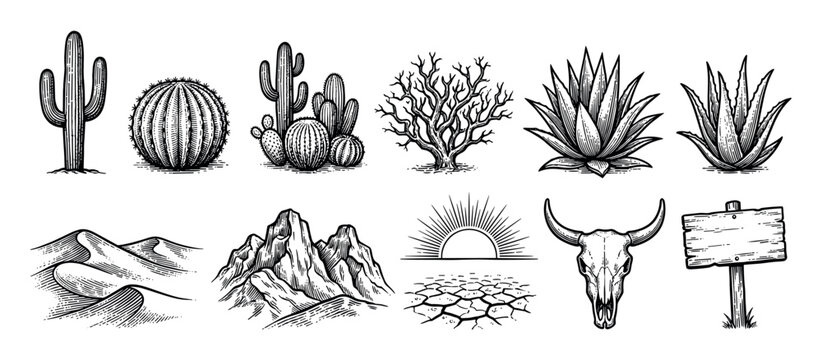 Hand-drawn desert elements collection with cactus, agave, bull skull, mountains, sand dunes, and sun in a retro black and white engraving sketch style