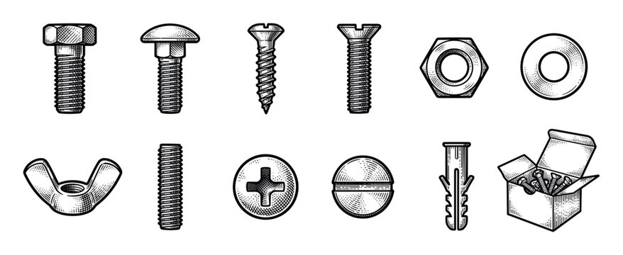 Large set of metal hardware fasteners including screws, bolts, nuts, a washer, and a wall anchor drawn in a detailed vintage black and white engraving vector illustration style