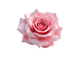 Obraz premium A close-up view of a single pink rose on a white background