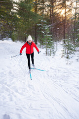 Woman skiing in  winter forest