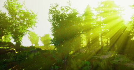 Fototapeta premium sunlit green glade at sunrise, golden rays filtering through oak canopy, dew on grass and delicate flowers, warm tranquil atmosphere ideal for wellness and eco
