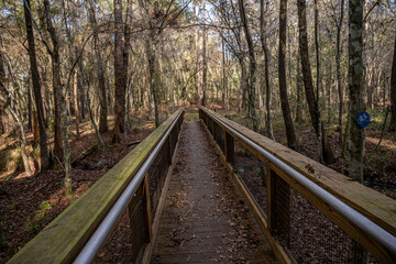 Fototapeta premium hiking trail in nature