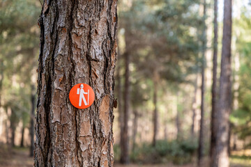 Naklejka premium hiking trail