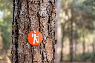 Fototapeta premium hiking trail