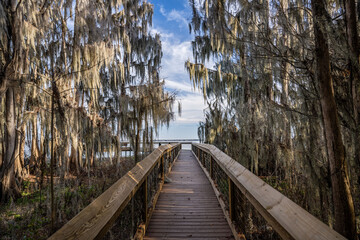 Obraz premium hiking trail