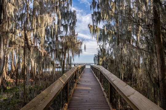 hiking trail