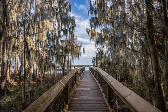 hiking trail