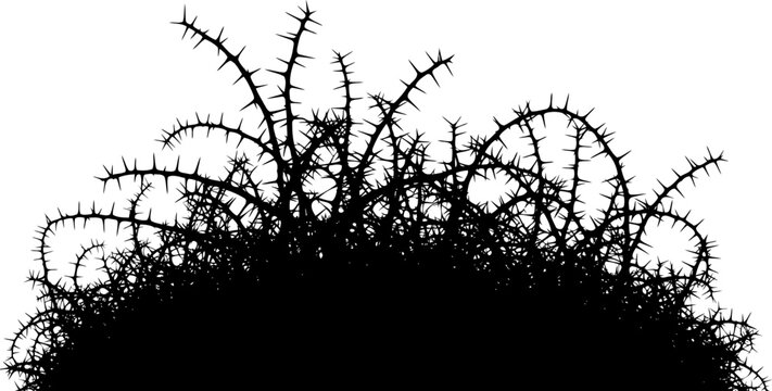 Dense thorny thicket or bramble bush silhouette vector