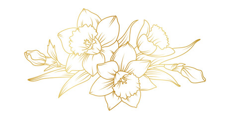Fototapeta premium Narcissus lily flowers line art isolated on white background. Luxury daffodil floral golden design elements for invitation, wedding, wallpaper, print template, vector illustration