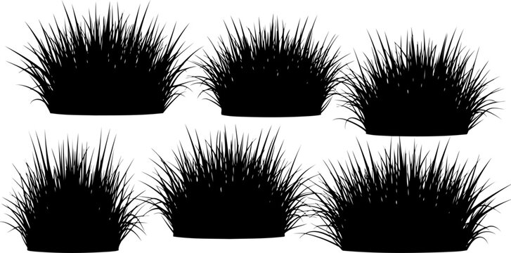 Multiple tufts of spiky field grass silhouette vector