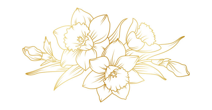 Narcissus lily flowers line art isolated on white background. Luxury daffodil floral golden design elements for invitation, wedding, wallpaper, print template, vector illustration