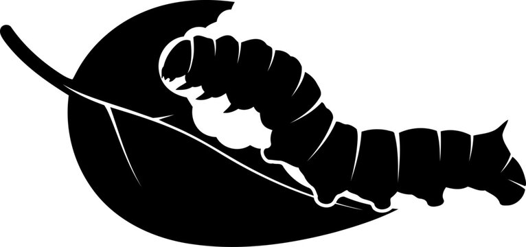 Caterpillar silhouette on leaf eating insect vector illustration