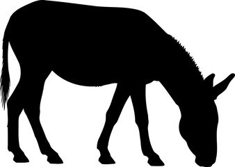 Obraz premium Donkey grazing silhouette side view farm animal vector graphic