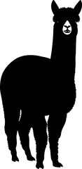 Obraz premium Front view alpaca silhouette standing farm animal vector illustration
