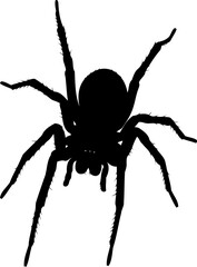 Obraz premium Hairy spider silhouette top view arachnid vector illustration