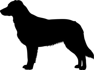 Obraz premium Standing dog silhouette side view retriever breed pet vector graphic
