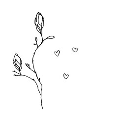 Magnolia twig and hearts hand drawn vector illustration.Spring doodle illustration. spring vibe