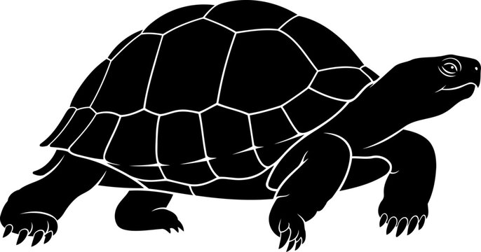 Walking tortoise silhouette side view slow reptile vector graphic