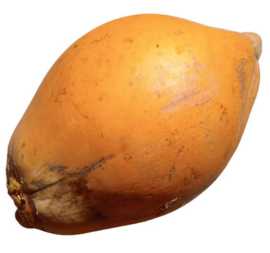 Fresh orange king coconut isolated on transparent background