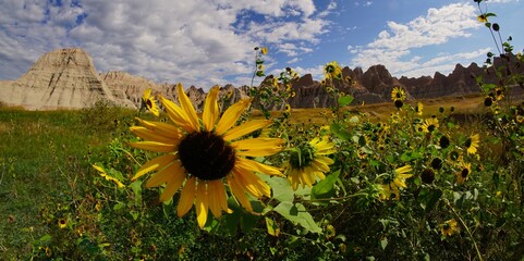 201908 Badlands NP South Dakota