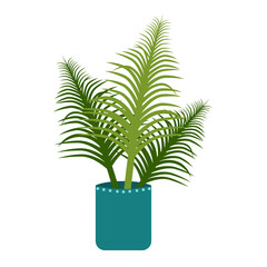 Fototapeta premium Green Palm Tree in Pot. Indoor Decorative Plant.
