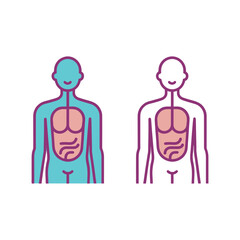 Fototapeta premium vector illustration of a male body