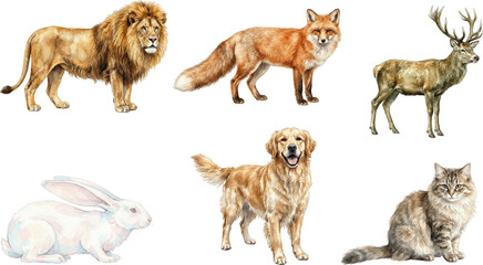 Obraz premium collection of watercolor animals
