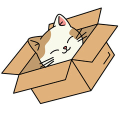 Fototapeta premium Cute Cat Sleeping Inside Cardboard Box Illustration