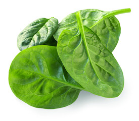 Obraz premium Organic Spinach leaves isolated on white. Baby Spinach leaf Flat lay. Top view. Espinach leaves food salad ingredient. Package design element
