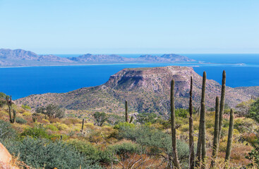 Baja