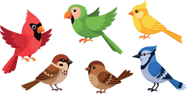 Cute cartoon bird vector set with colorful flying and sitting birds for nature design