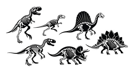 Illustrative collection of dinosaur skeletons showcasing diverse prehistoric reptile anatomy © MdNirob