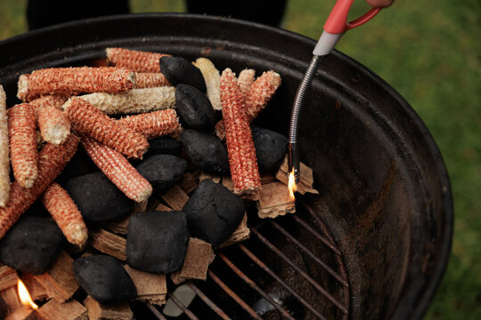 varie tipologie di materiali infiammabili, tra cui pezzi di pannocchie e carbone, dentro ad una griglia che vengono accese con un accendino 