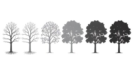 Obraz premium Sequential growth of trees from bare branches to full canopy