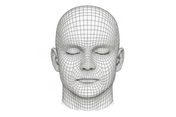 Human head wireframe grid structure showing data, ai, technology, digital identity, biometrics, and facial recognition concepts