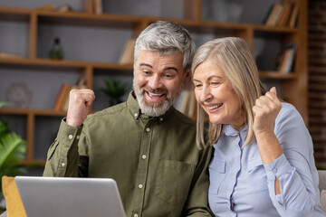Excited senior couple looking at a laptop screen, raising fists in a gesture of success and joy, celebrating a win or good news received online from their home office