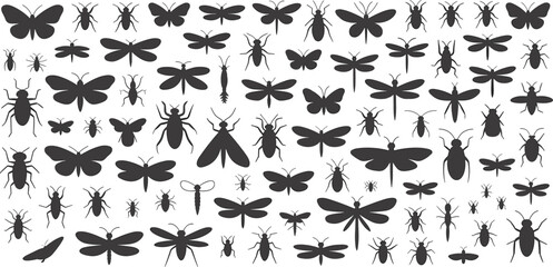 Fototapeta premium Insect silhouettes collection isolated on white background, butterflies, dragonflies, beetles and bugs vector illustration set for education, biology design, wildlife graphics, pattern creation