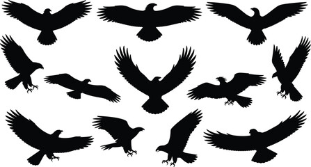 Obraz premium Flying eagle silhouette collection vector illustration, majestic birds in flight, freedom and wildlife design concept, detailed bird shape black outline