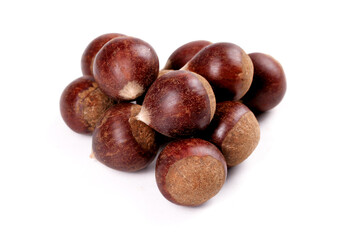 Fototapeta premium Fresh Raw Chestnuts from Fujian Jianou - Organic Alpine Nuts