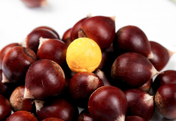 Fototapeta premium Fresh Alpine Chestnuts with Golden One, Fujian Farmers Market Produce