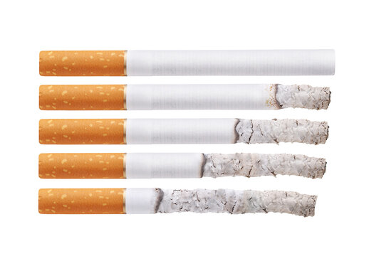 did men use cigarette holders A Male Model Smoking A Cigarette From A Long Pipe Art Print