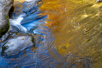 Beautiful color photo of reflections of the sky and surrounding foliage on wet rocks on a stream in the Chatooga River in North Carolina