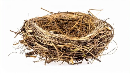 Empty bird&rsquo;s nest made of twigs evokes natural craftsmanship, ecological design, and organic shelter symbolism