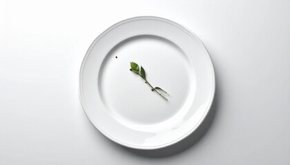 White ceramic plate on clean surface evokes minimalist dining elegance, tableware simplicity, and refined presentation