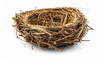 Empty bird&rsquo;s nest made of twigs evokes natural craftsmanship, ecological design, and organic shelter symbolism